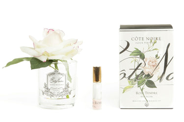 Single Rose - Clear Glass - Pink Blush - GMR02 (Carton of 4)